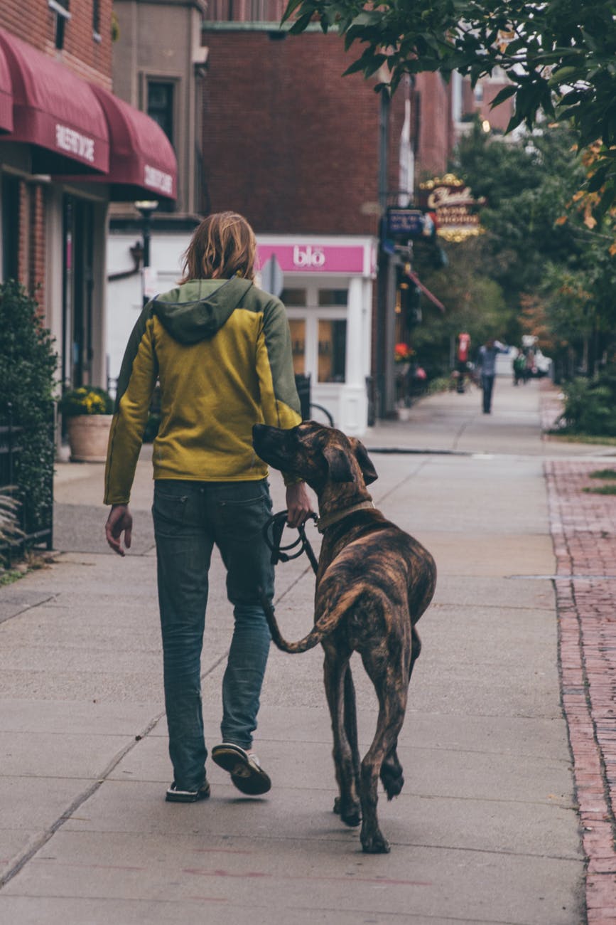 a man walking in the street with his dog